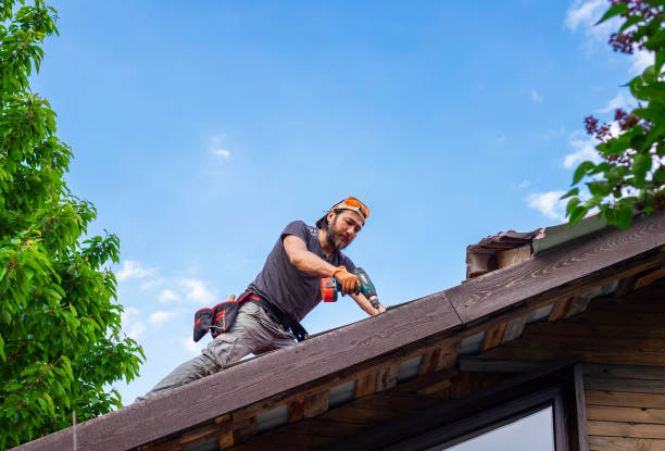 Larkspur, CA Roofing services Company